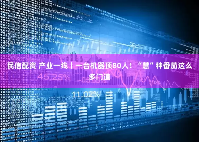 民信配资 产业一线丨一台机器顶80人！“慧”种番茄这么多门道