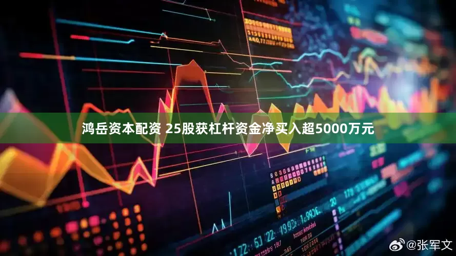 鸿岳资本配资 25股获杠杆资金净买入超5000万元