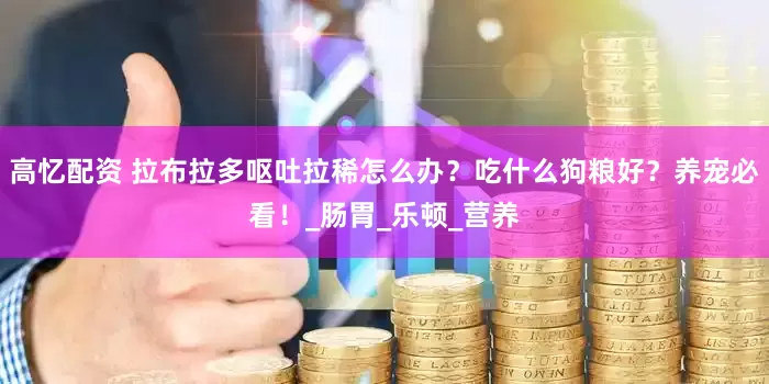 高忆配资 拉布拉多呕吐拉稀怎么办？吃什么狗粮好？养宠必看！_肠胃_乐顿_营养