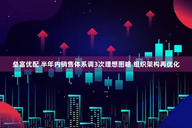垒富优配 半年内销售体系调3次理想图啥 组织架构再优化