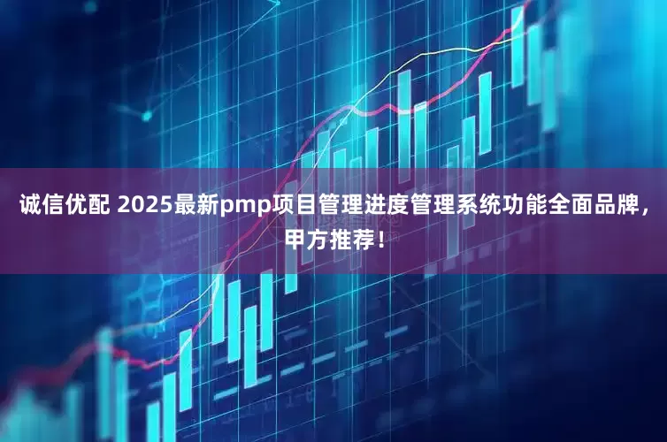 诚信优配 2025最新pmp项目管理进度管理系统功能全面品牌，甲方推荐！